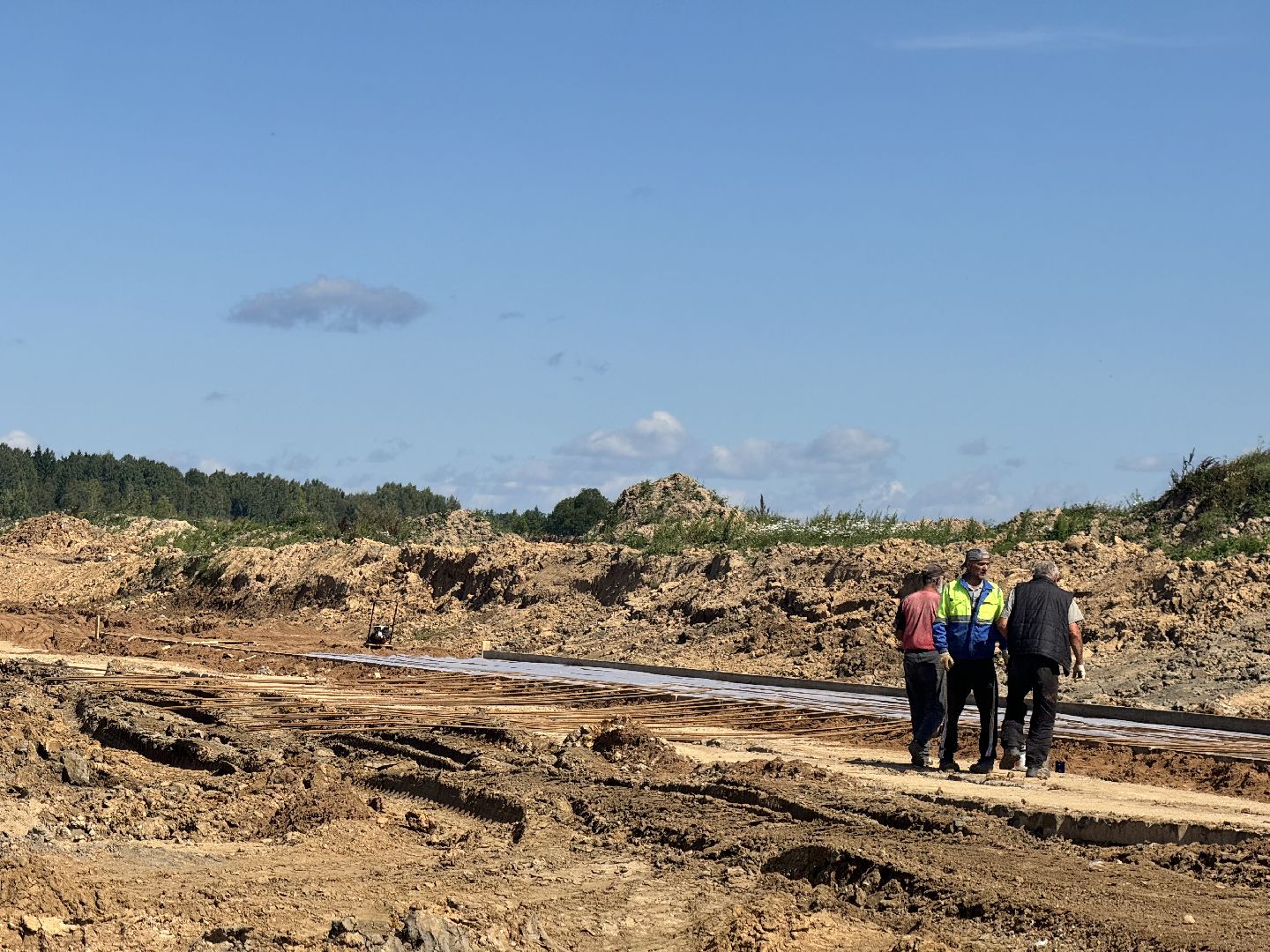 шаховская, ферма, скот, строителтство,