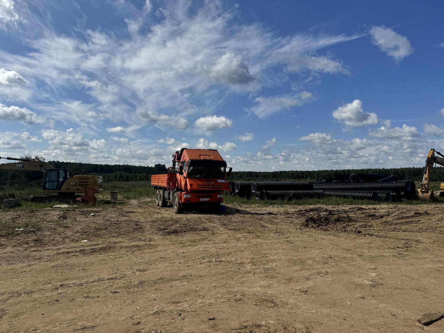 шаховская, ферма, скот, строителтство,