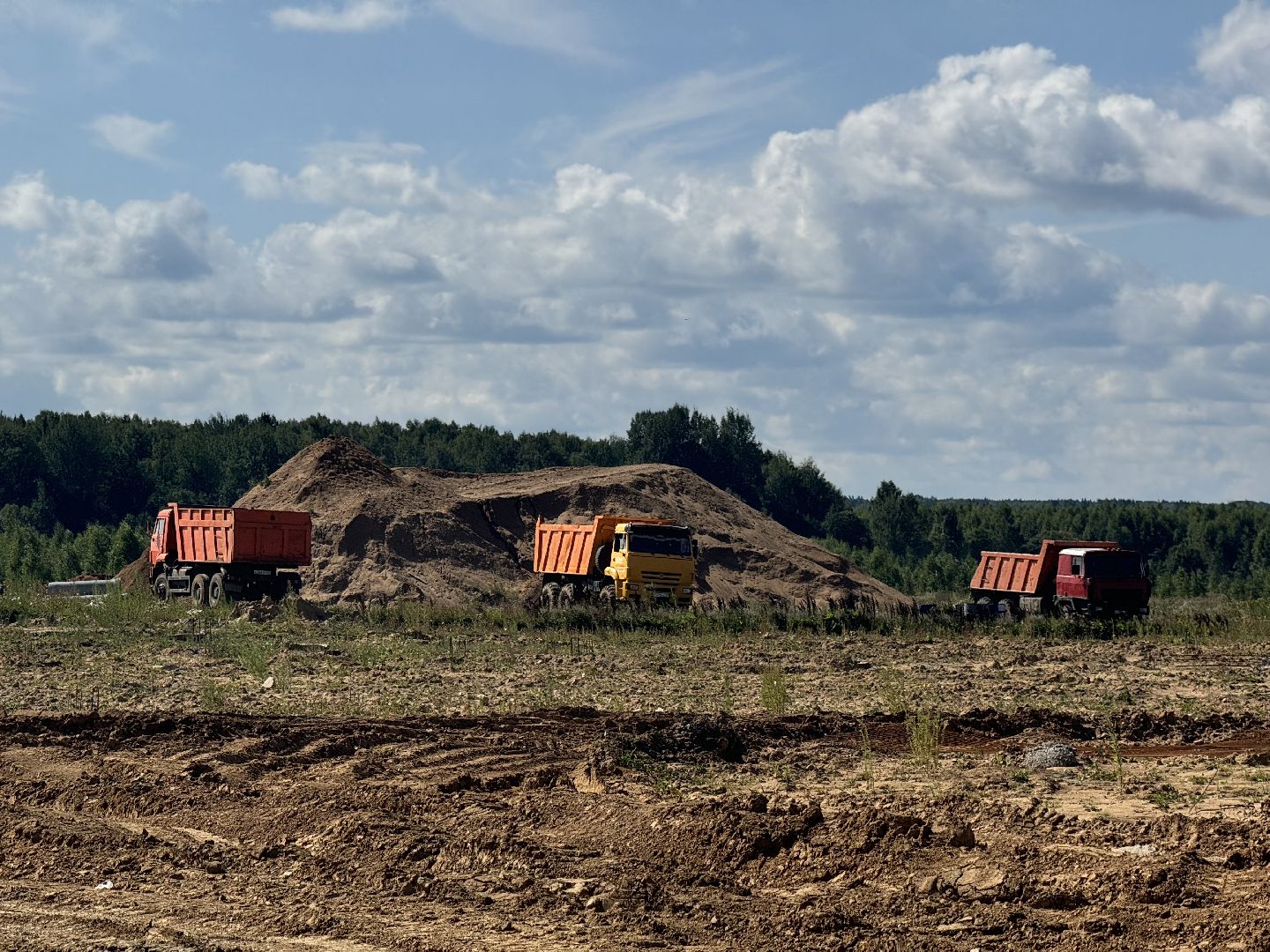 шаховская, ферма, скот, строителтство,