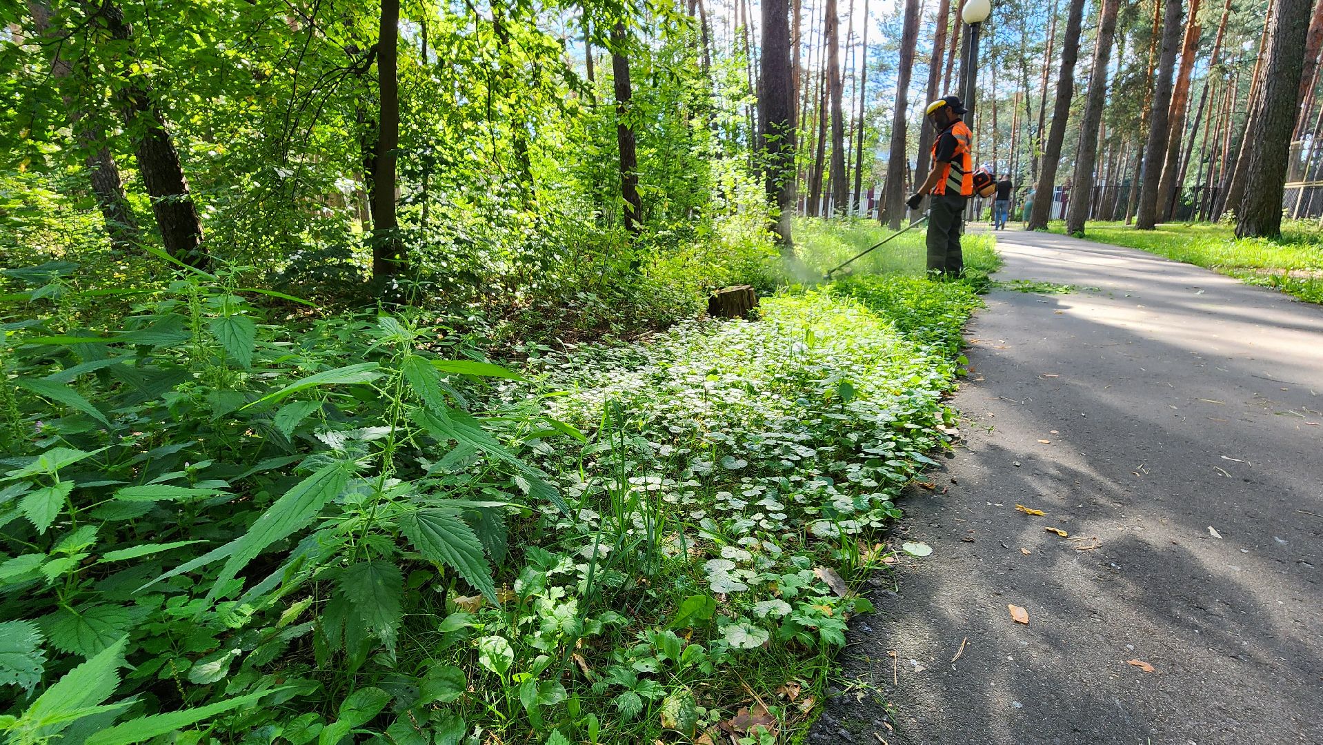 благоустройство, протвино, окос, окос у школ, комбинат благоустройства,