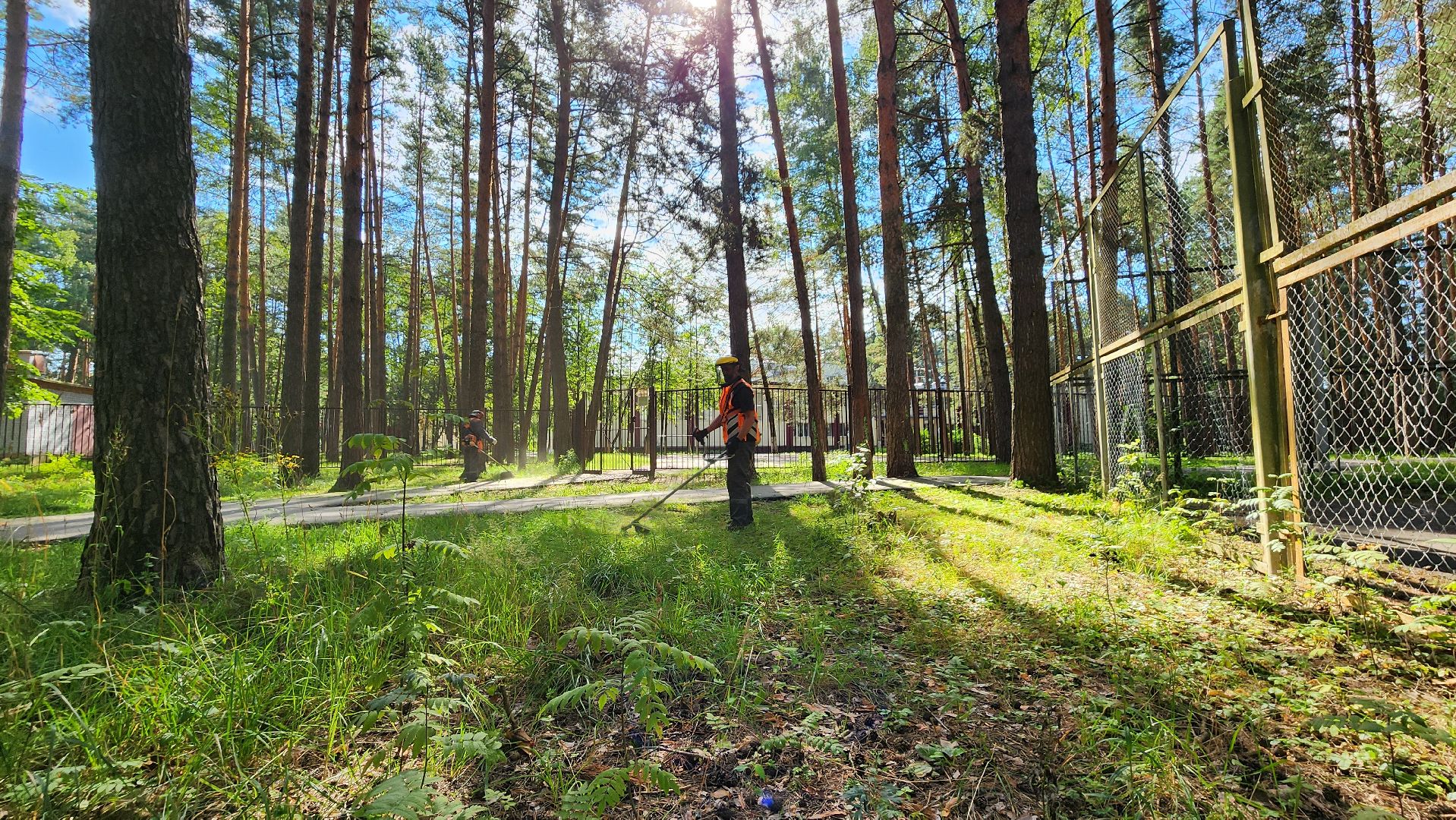 благоустройство, протвино, окос, окос у школ, комбинат благоустройства,