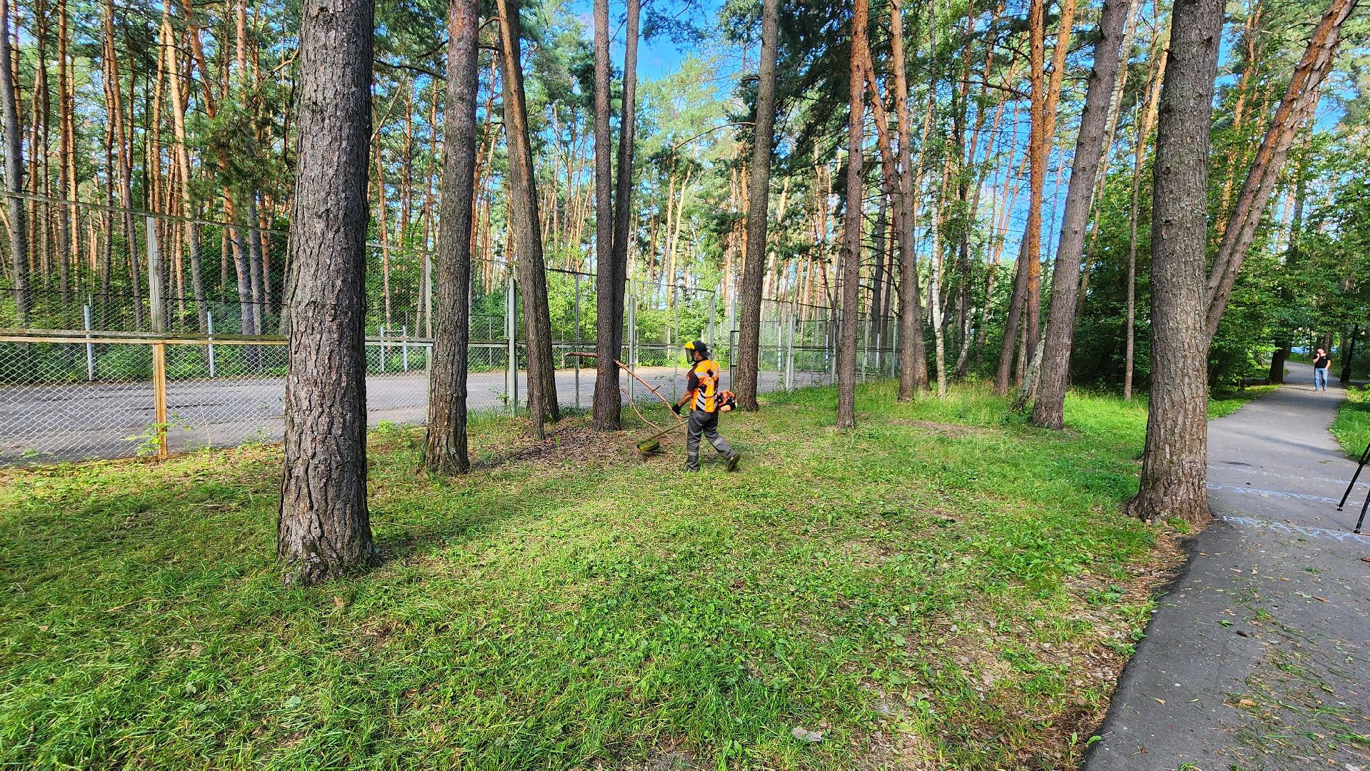 благоустройство, протвино, окос, окос у школ, комбинат благоустройства,