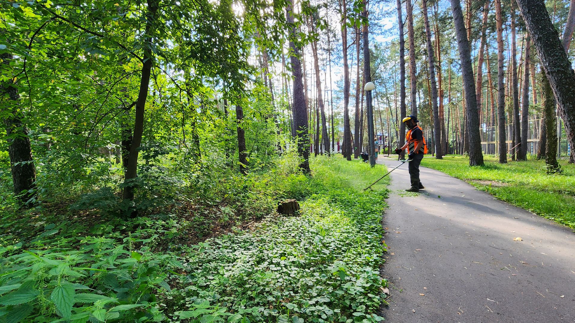 благоустройство, протвино, окос, окос у школ, комбинат благоустройства,