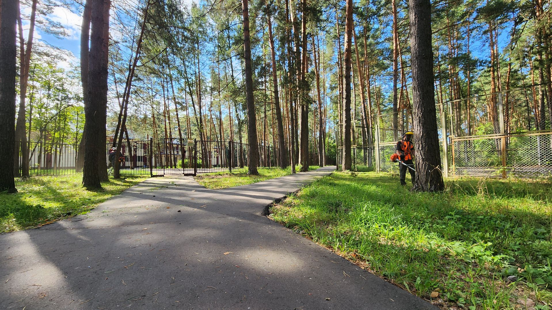 благоустройство, протвино, окос, окос у школ, комбинат благоустройства,