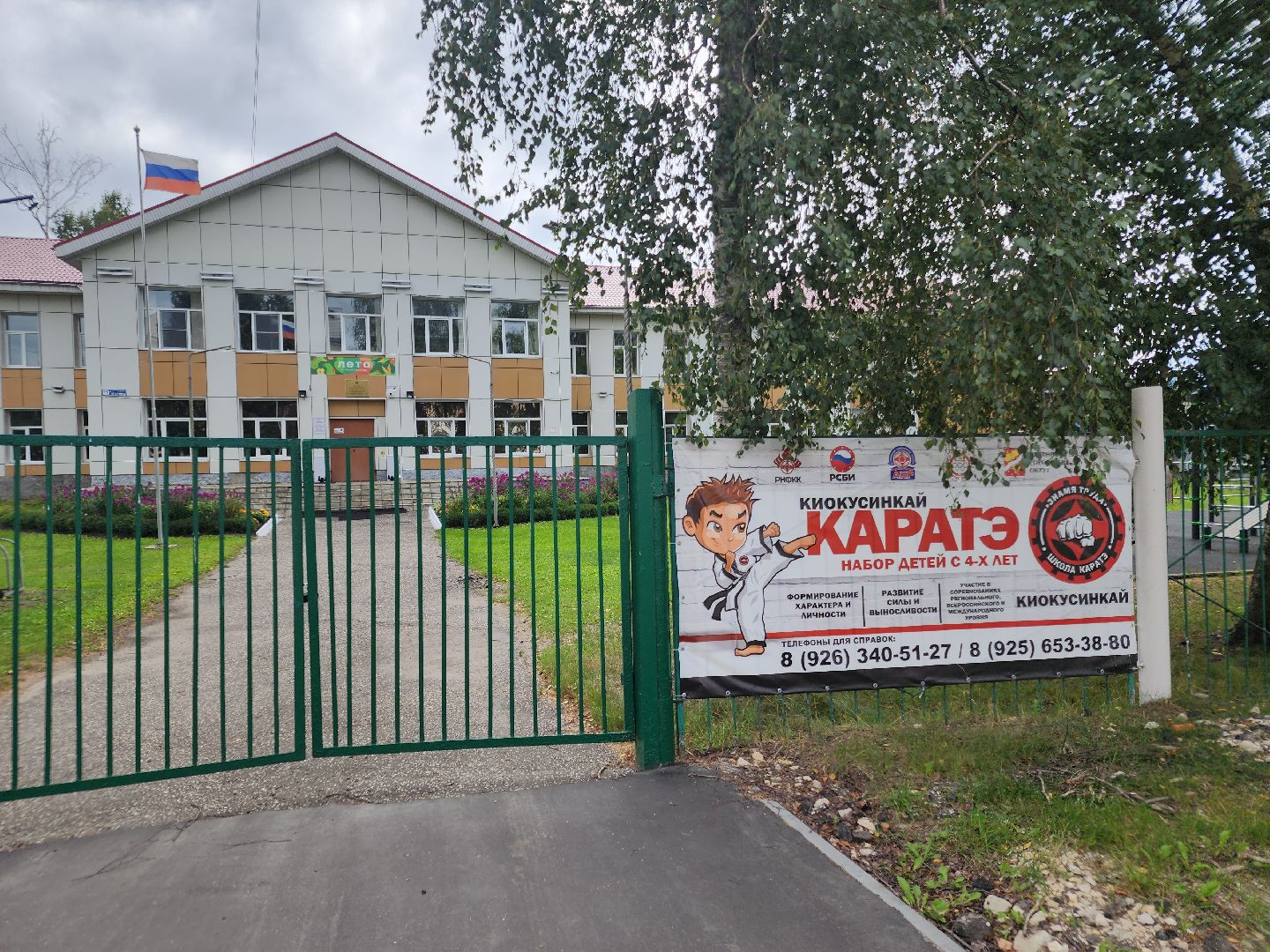 пешеходный переход, орехово зуево, безопасное движение,