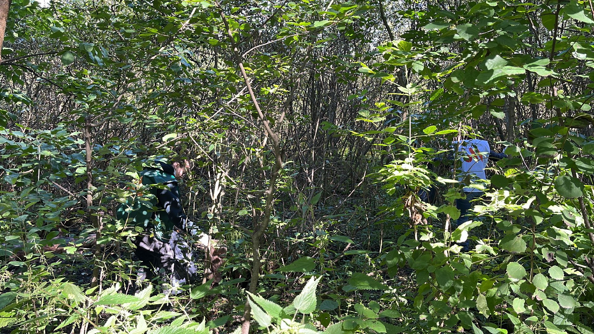 акция, экологическая акция, экоакция, экоактивисты, акция вода россии,