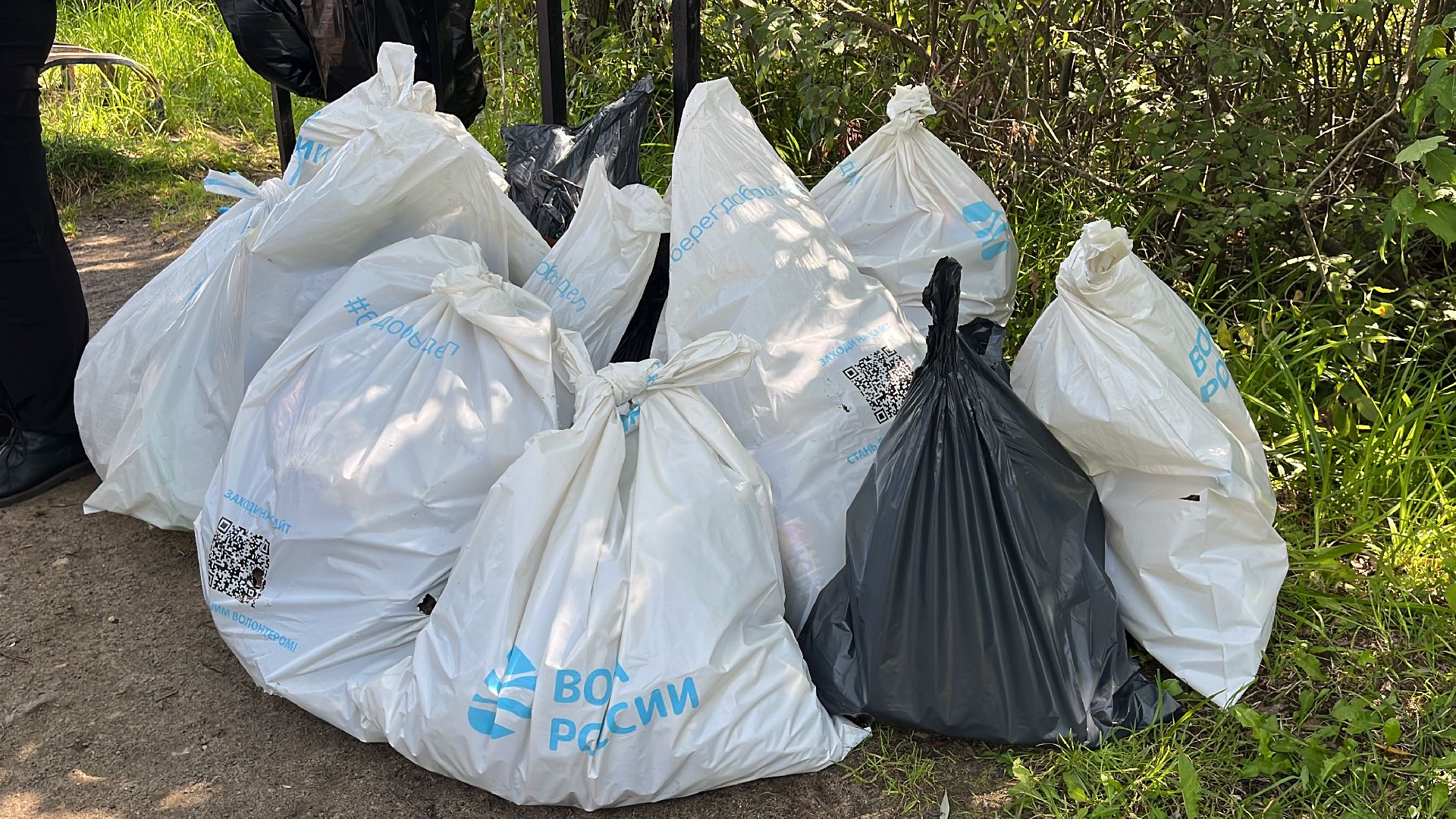 акция, экологическая акция, экоакция, экоактивисты, акция вода россии,