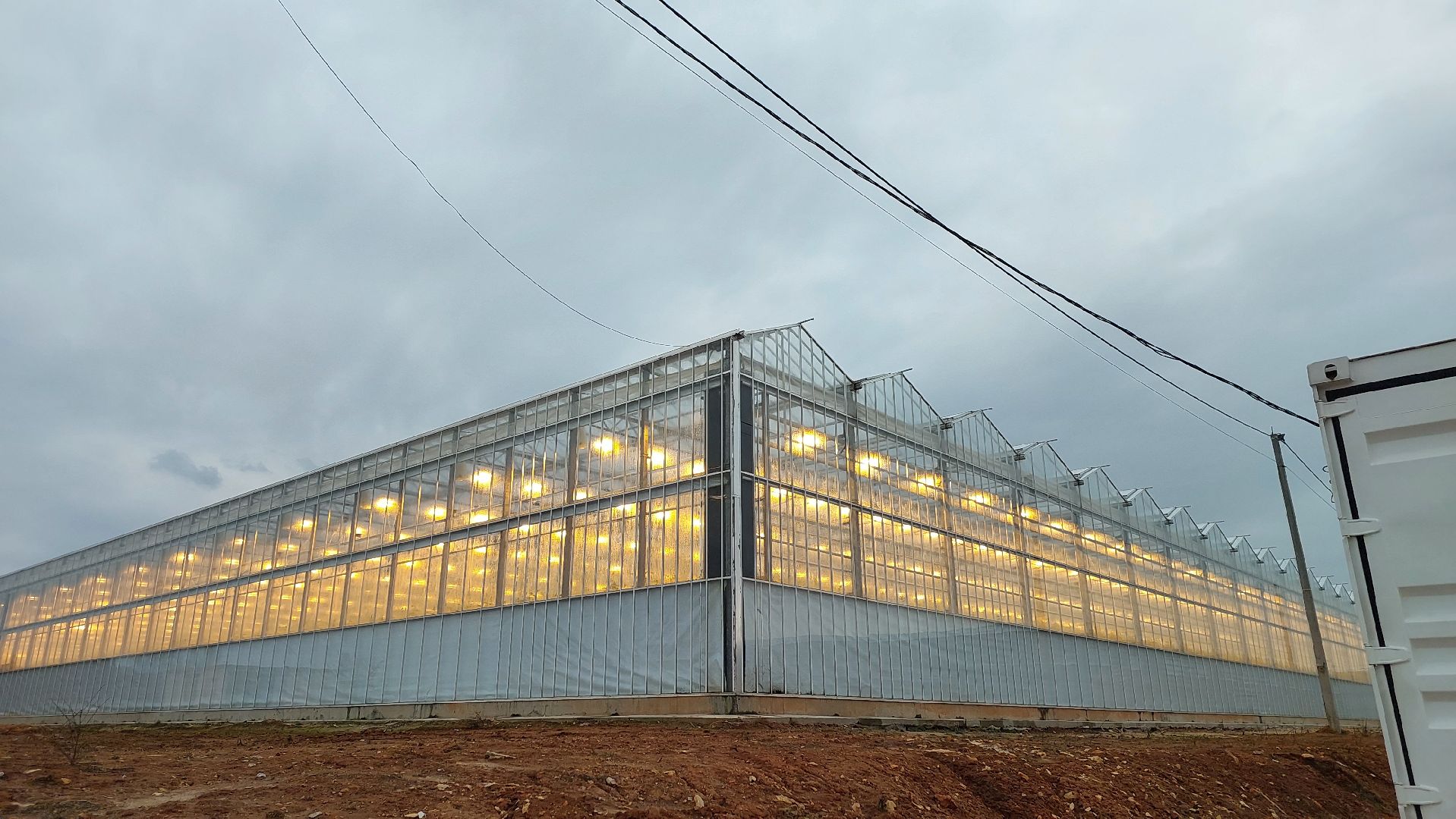 томаты, серпухов, турово, тепличное хозяйство, сельское хозяйство, продовольствие,