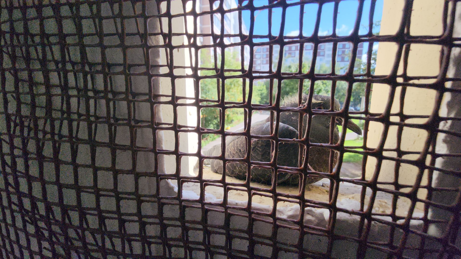 серпухов, улица новая, ремонт подъездов, программа губернатора, софинансирование,