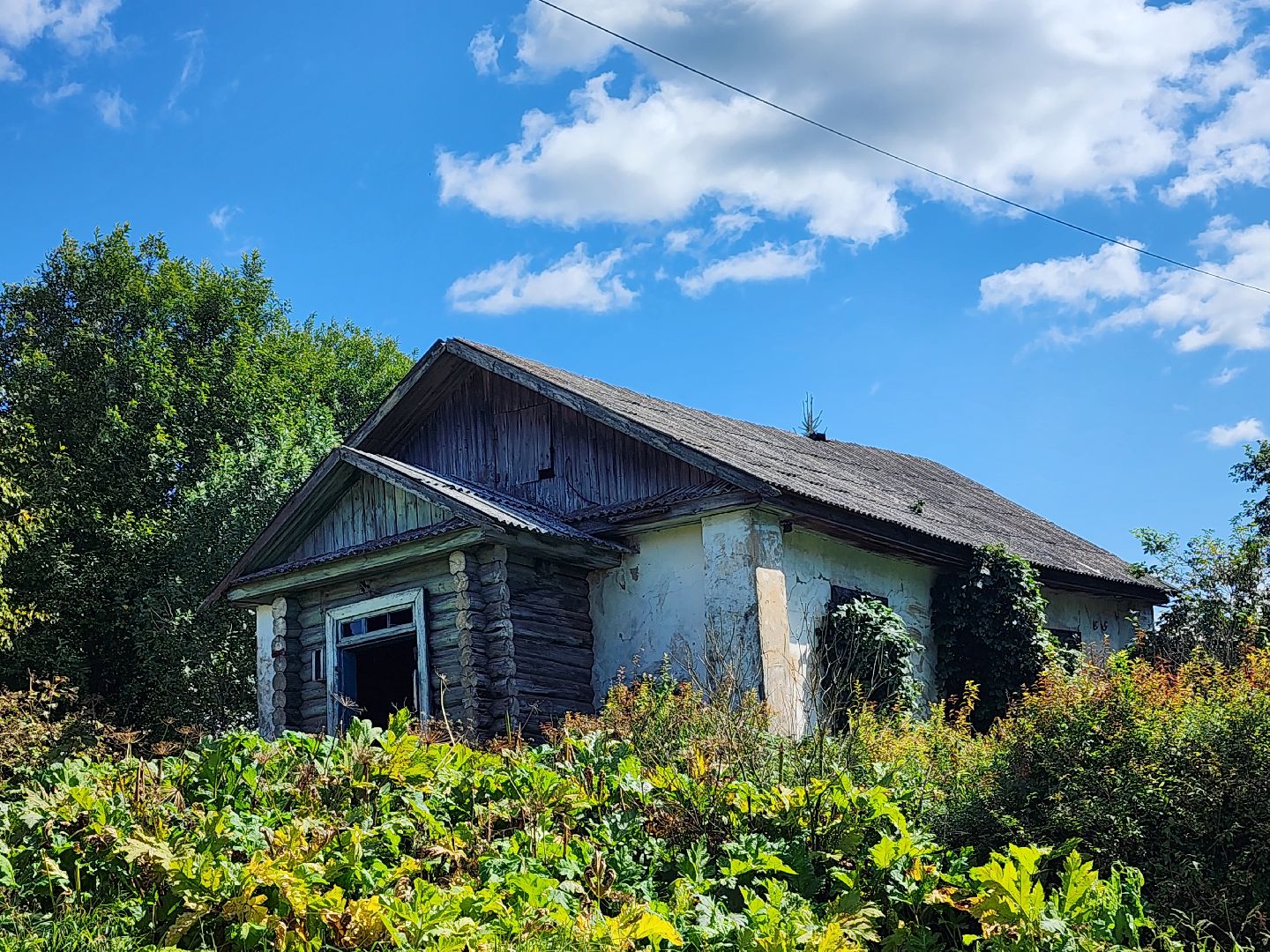 сельское хозяйство, Сельхозкультуры, селекция,