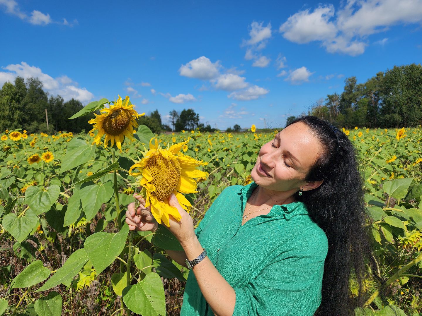 сельское хозяйство, Сельхозкультуры, селекция,