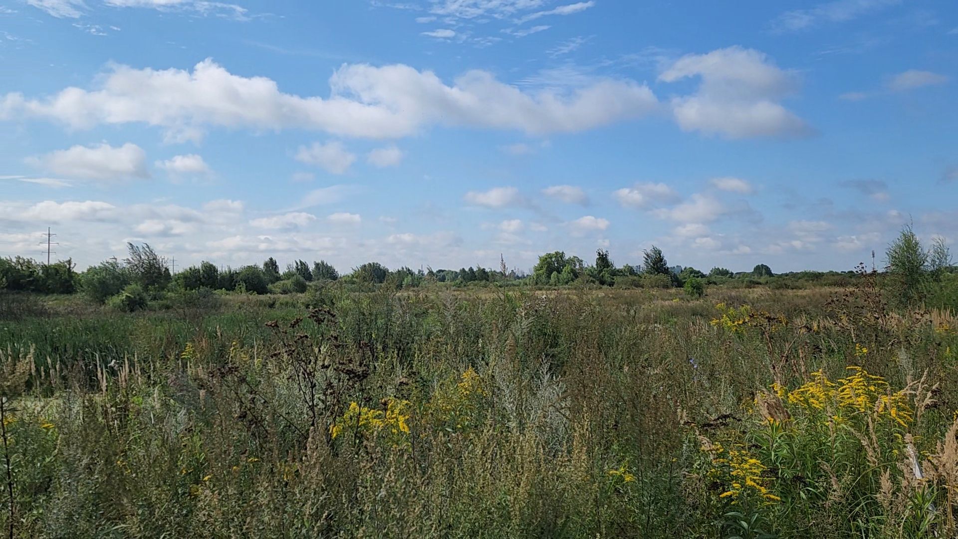 ногинск, старая купавна, земля за один рубль, жители, общество, экономика, строительство, строительство нового предприятия,