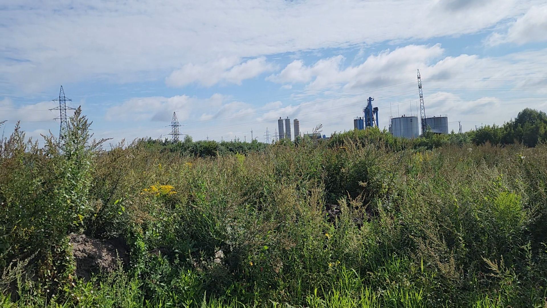 ногинск, старая купавна, земля за один рубль, жители, общество, экономика, строительство, строительство нового предприятия,