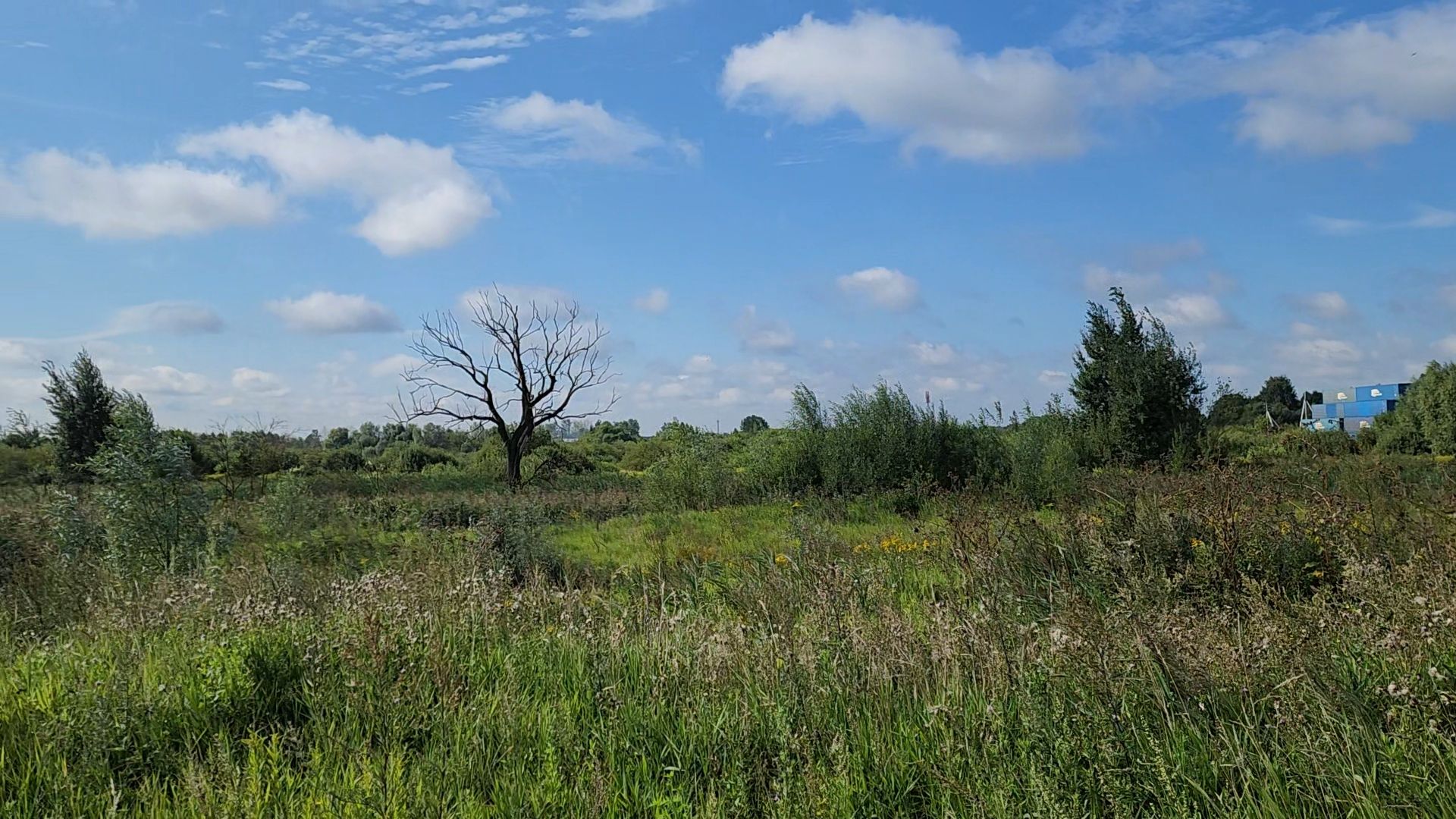 ногинск, старая купавна, земля за один рубль, жители, общество, экономика, строительство, строительство нового предприятия,