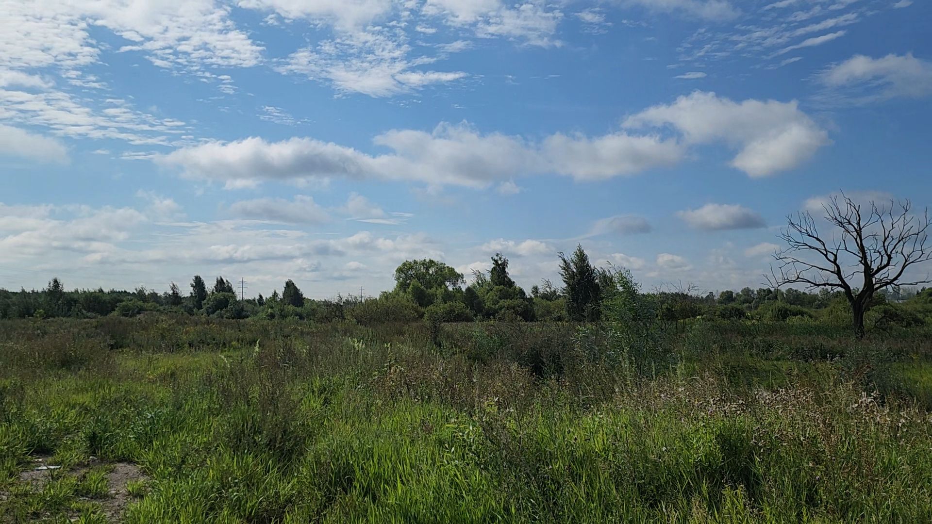 ногинск, старая купавна, земля за один рубль, жители, общество, экономика, строительство, строительство нового предприятия,