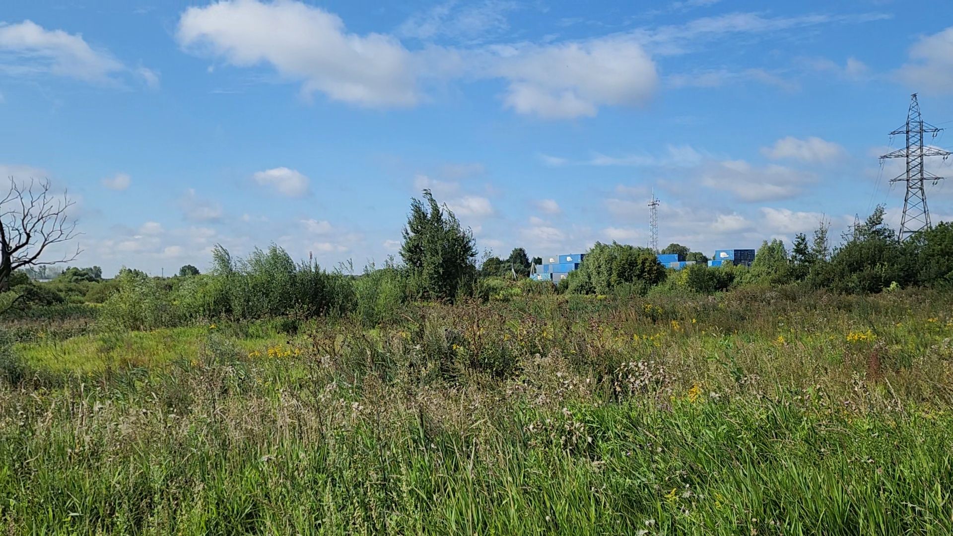 ногинск, старая купавна, земля за один рубль, жители, общество, экономика, строительство, строительство нового предприятия,