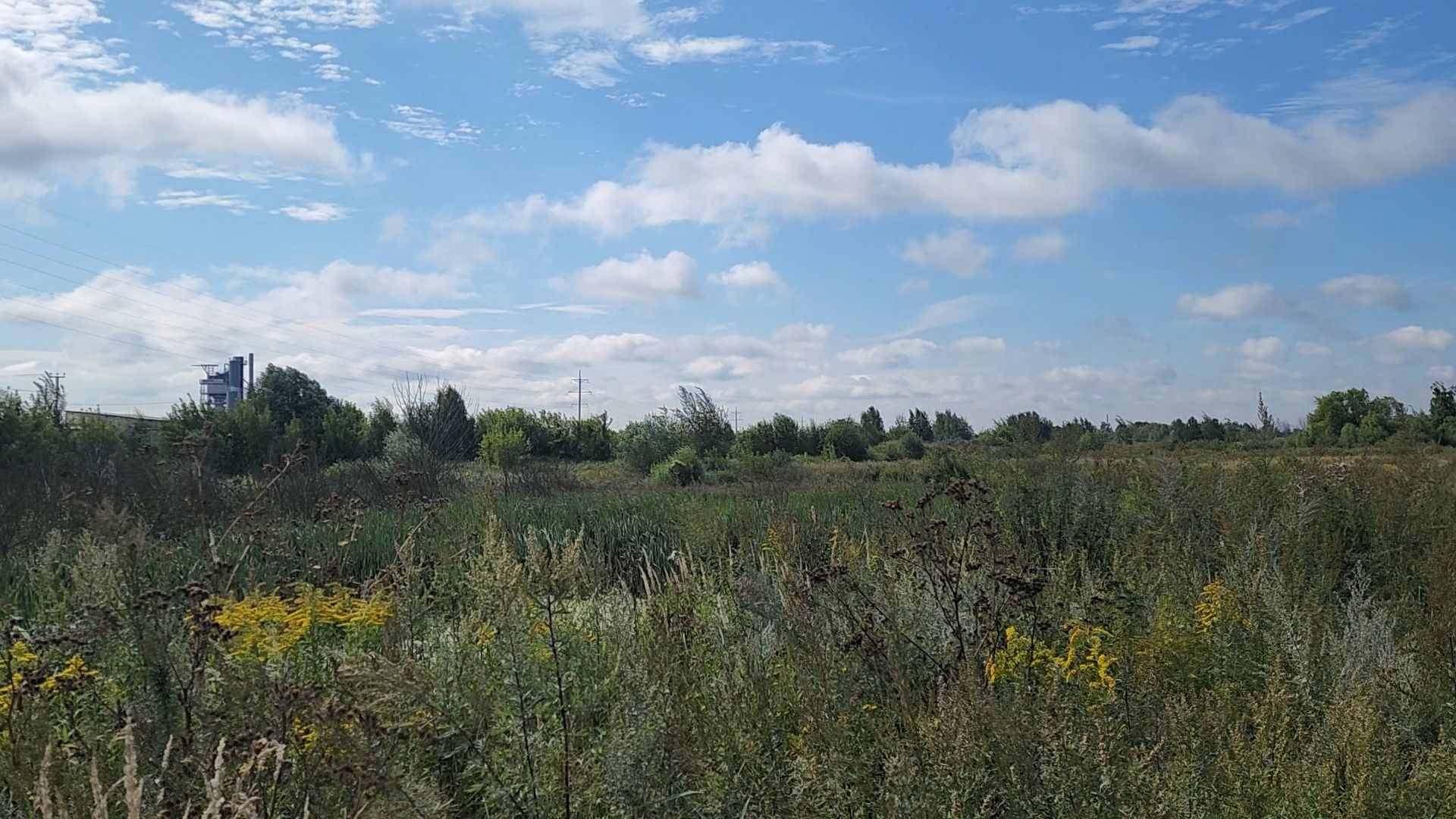 ногинск, старая купавна, земля за один рубль, жители, общество, экономика, строительство, строительство нового предприятия,