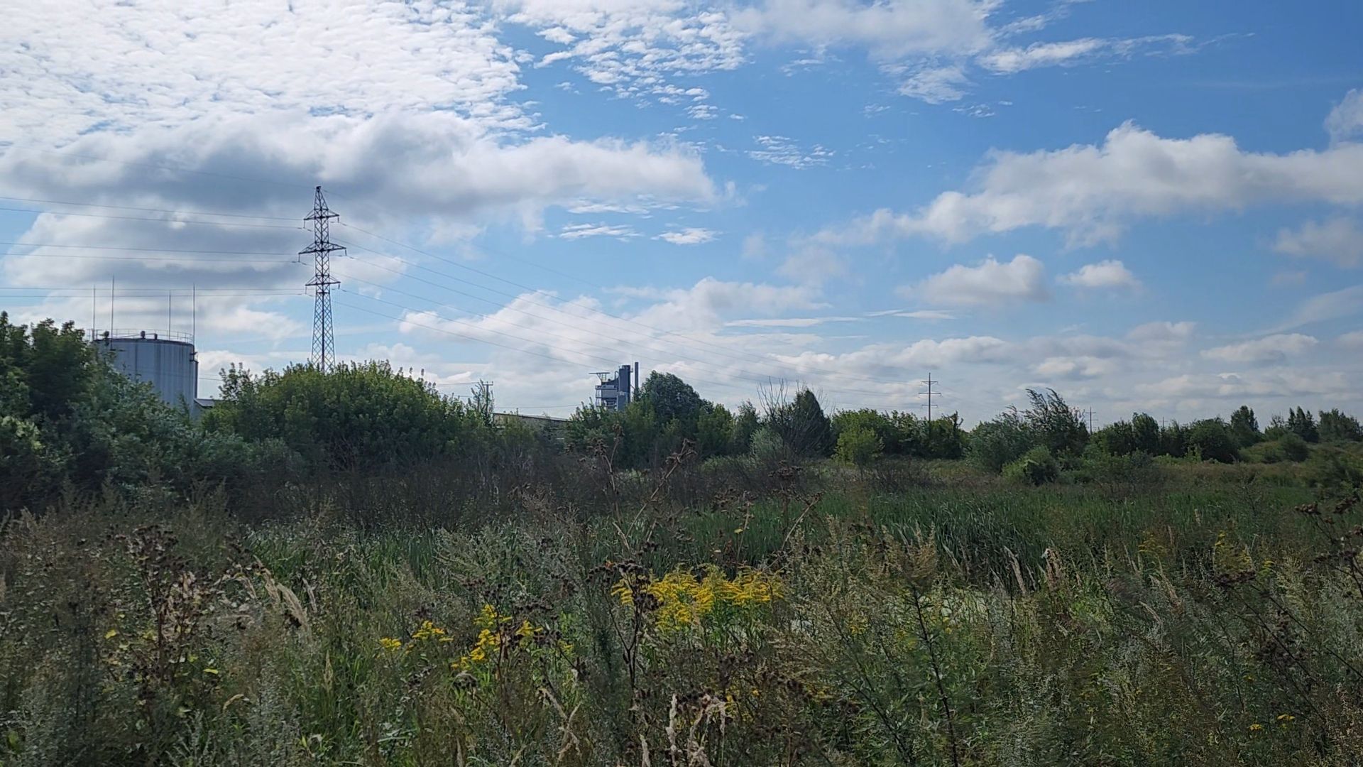 ногинск, старая купавна, земля за один рубль, жители, общество, экономика, строительство, строительство нового предприятия,