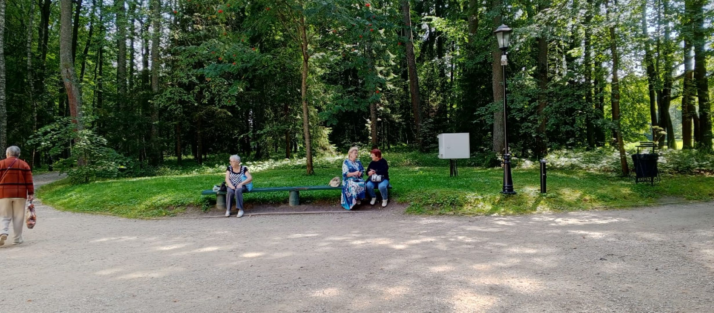 пушкино, усадьба, старинные вещи, история, литература, культура, активное долголетие, экскурсии по историческим местам,