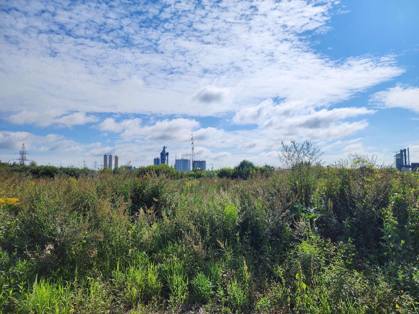 старая купавна, ногинск, общество, жители, строительство, экономика, богородский городской округ, строительство нового предприятия,