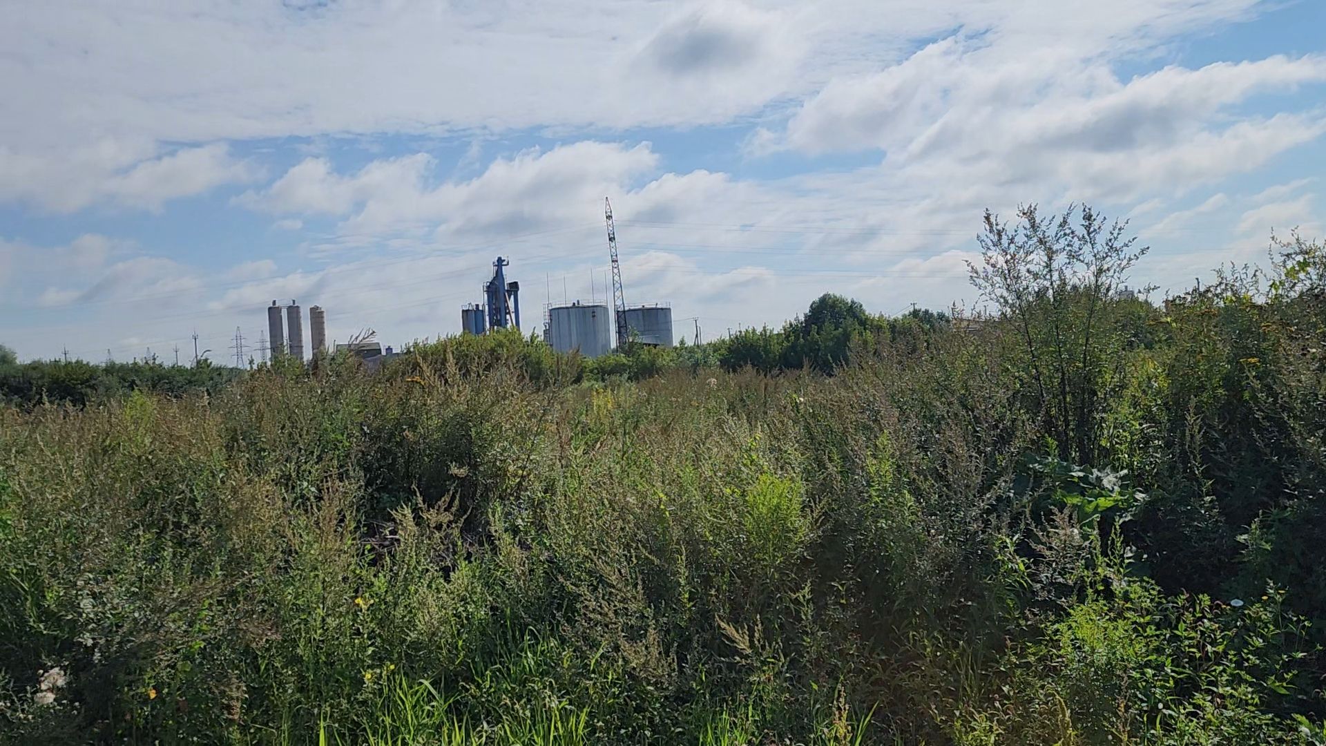 старая купавна, ногинск, общество, жители, строительство, экономика, богородский городской округ, строительство нового предприятия,