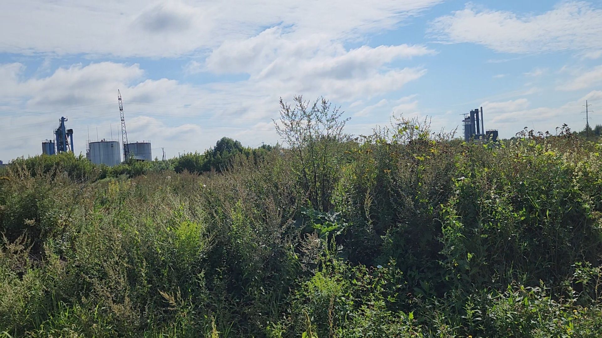 старая купавна, ногинск, общество, жители, строительство, экономика, богородский городской округ, строительство нового предприятия,