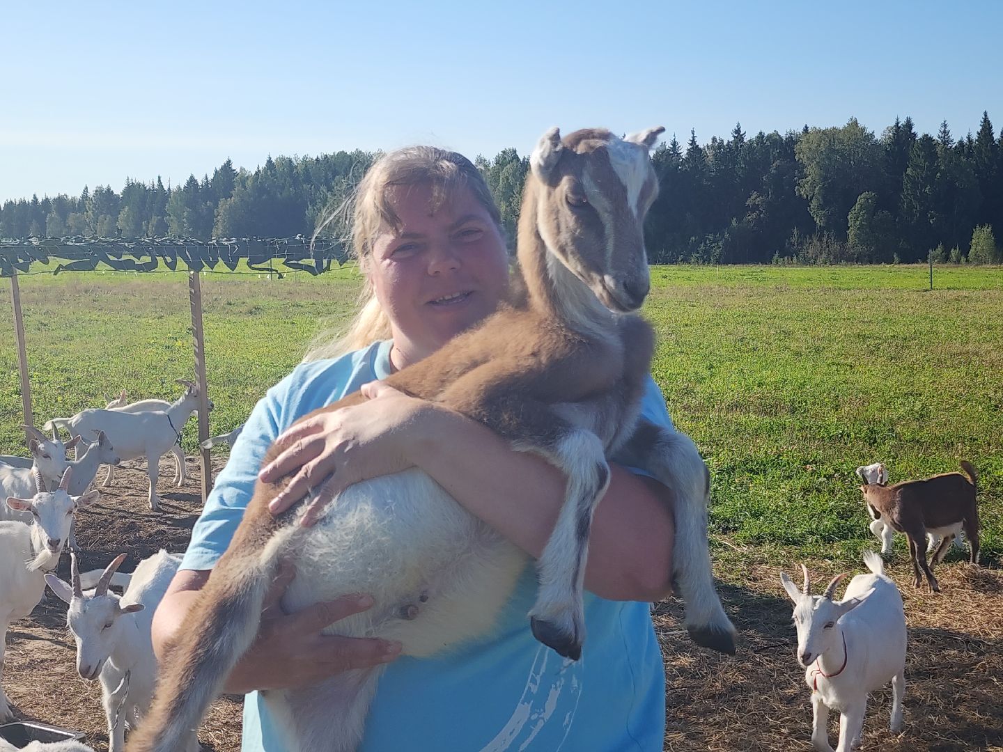 разведение коз, фермеры, субсидии,