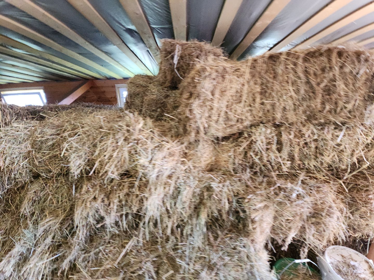 разведение коз, фермеры, субсидии,