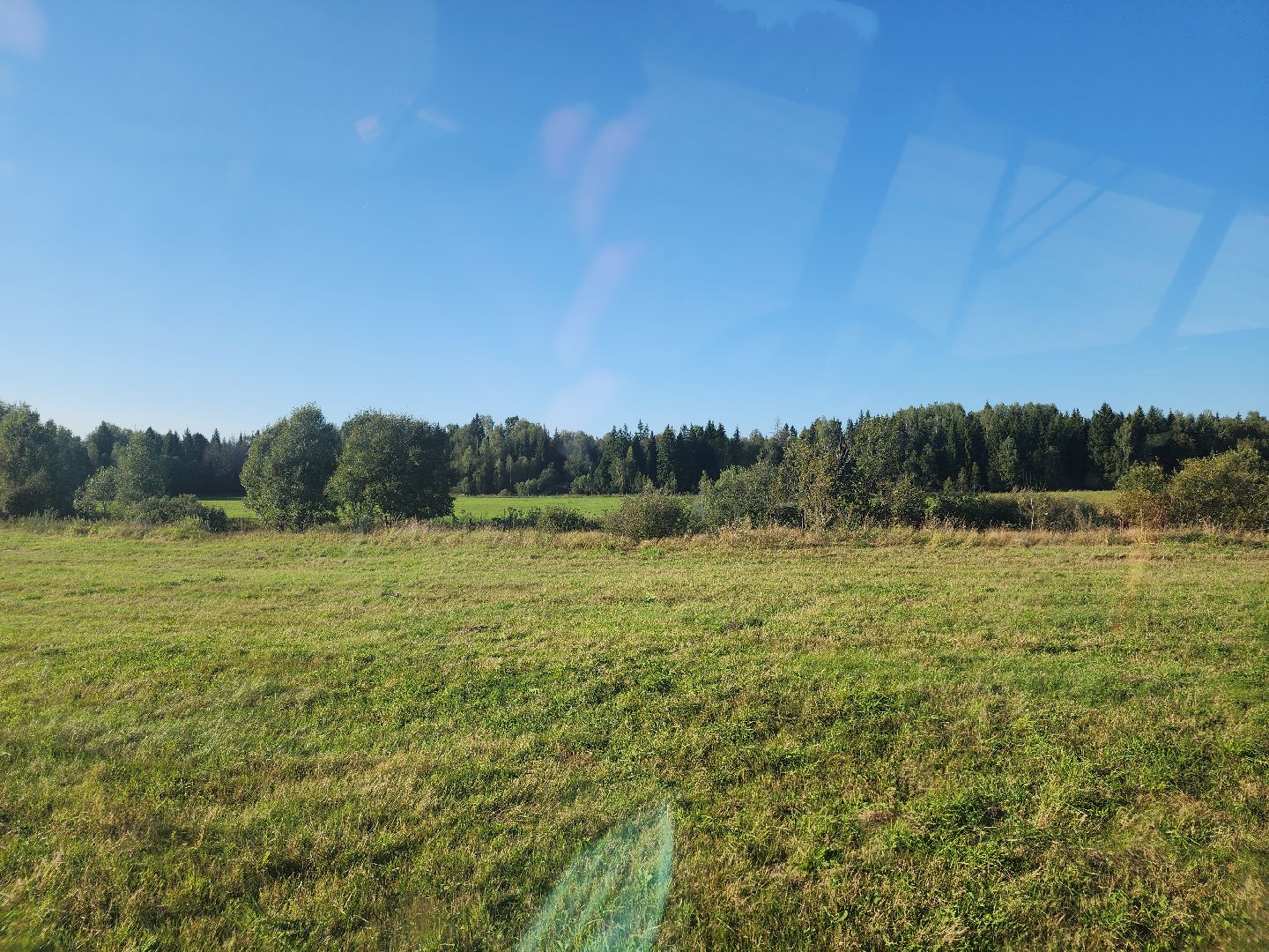 разведение коз, фермеры, субсидии,