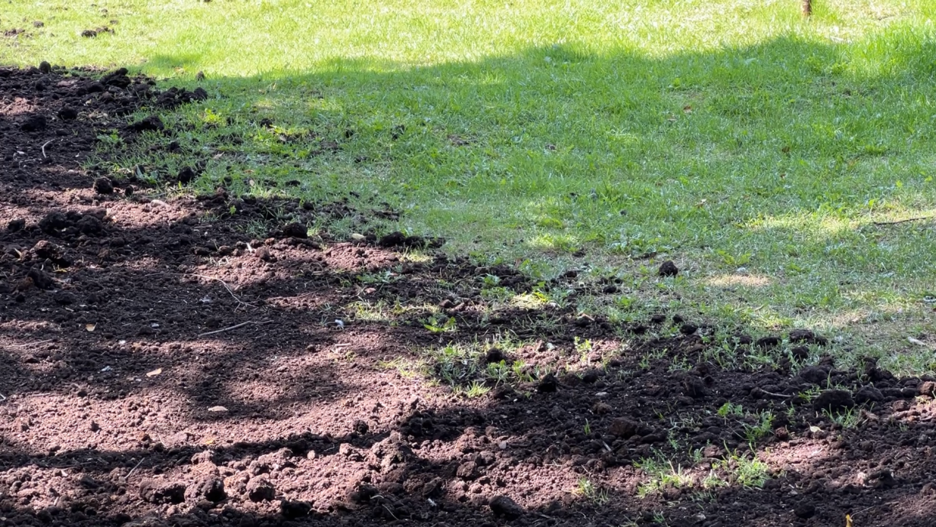 химки, благоустройство, выездная администрация, обращение жителей,