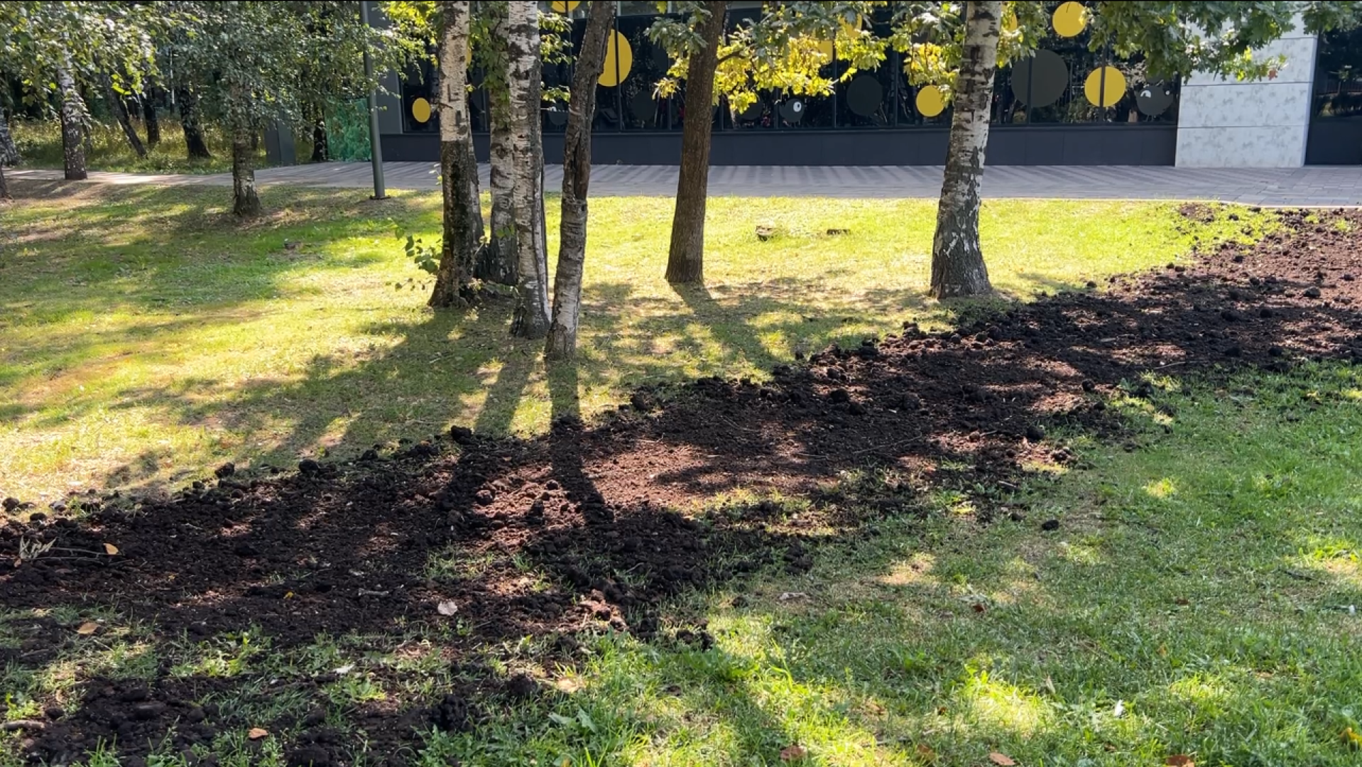 химки, благоустройство, выездная администрация, обращение жителей,