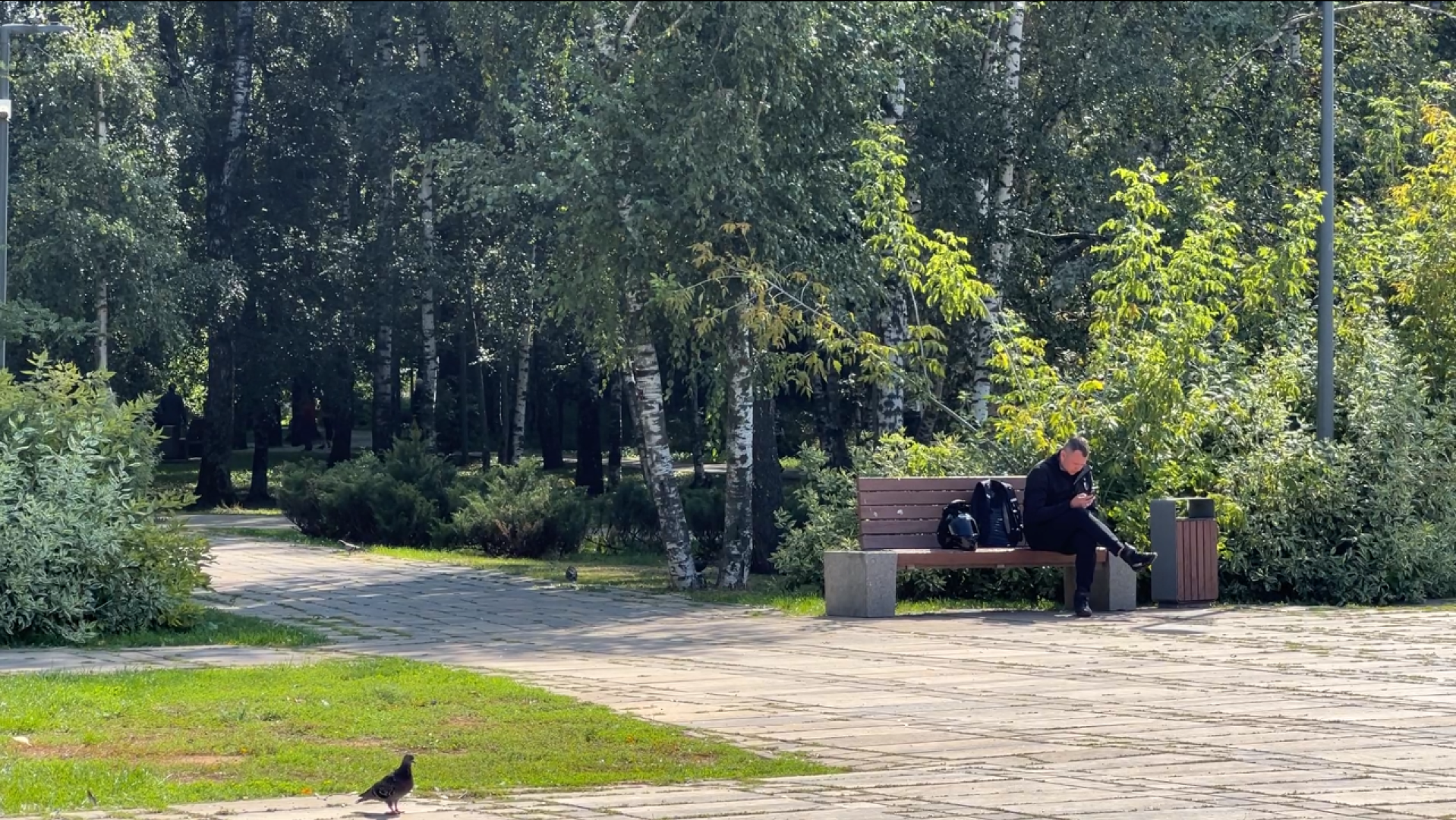 химки, благоустройство, выездная администрация, обращение жителей,