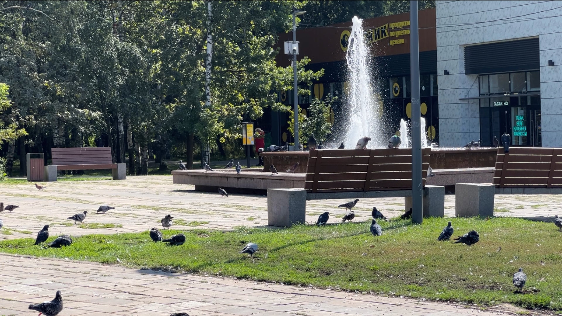 химки, благоустройство, выездная администрация, обращение жителей,