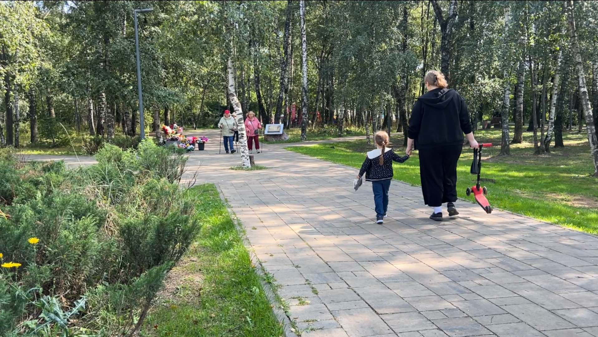 химки, благоустройство, выездная администрация, обращение жителей,