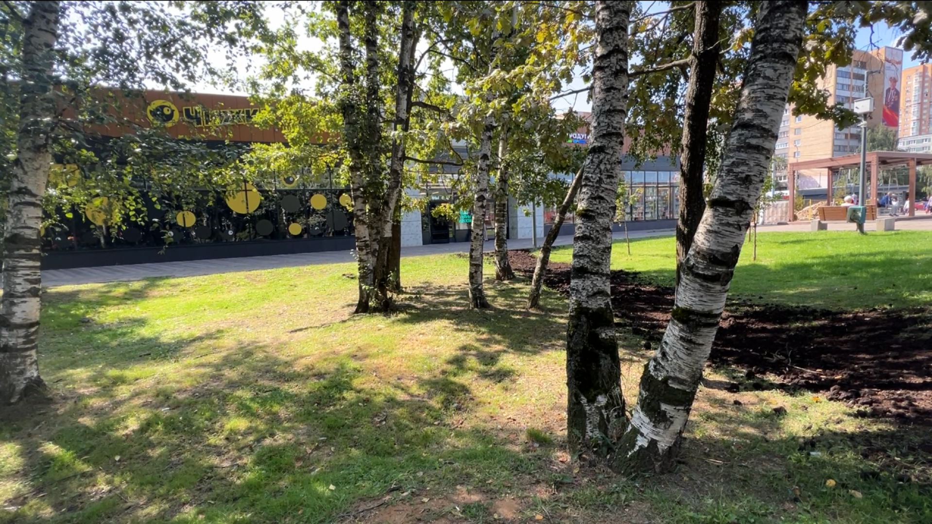 химки, благоустройство, выездная администрация, обращение жителей,