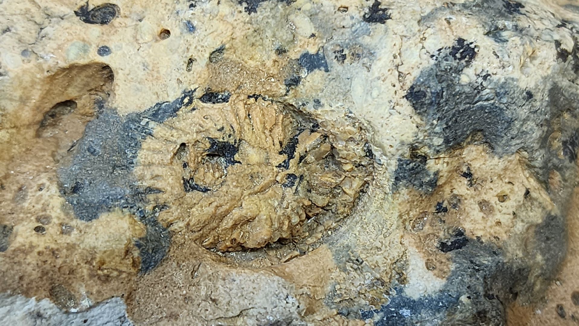 шатура, Всемирный день археолога, музеии, люди озер, культурная шатура,