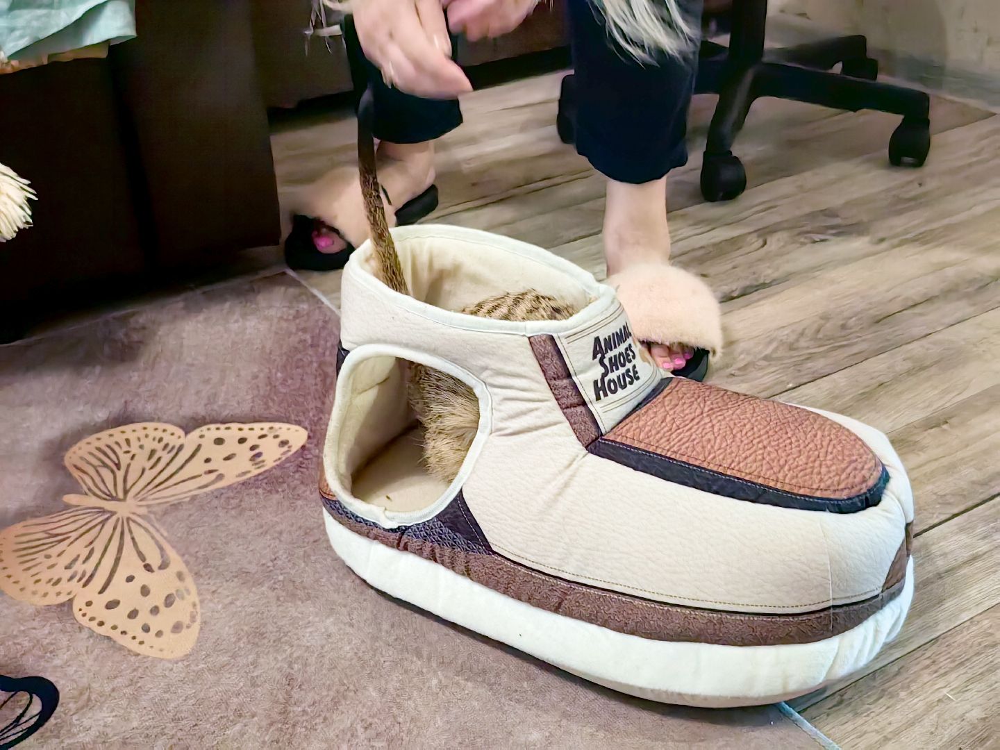 сурикаты, одежда для экзотов, финик и марта, костюмы, дизайнер,