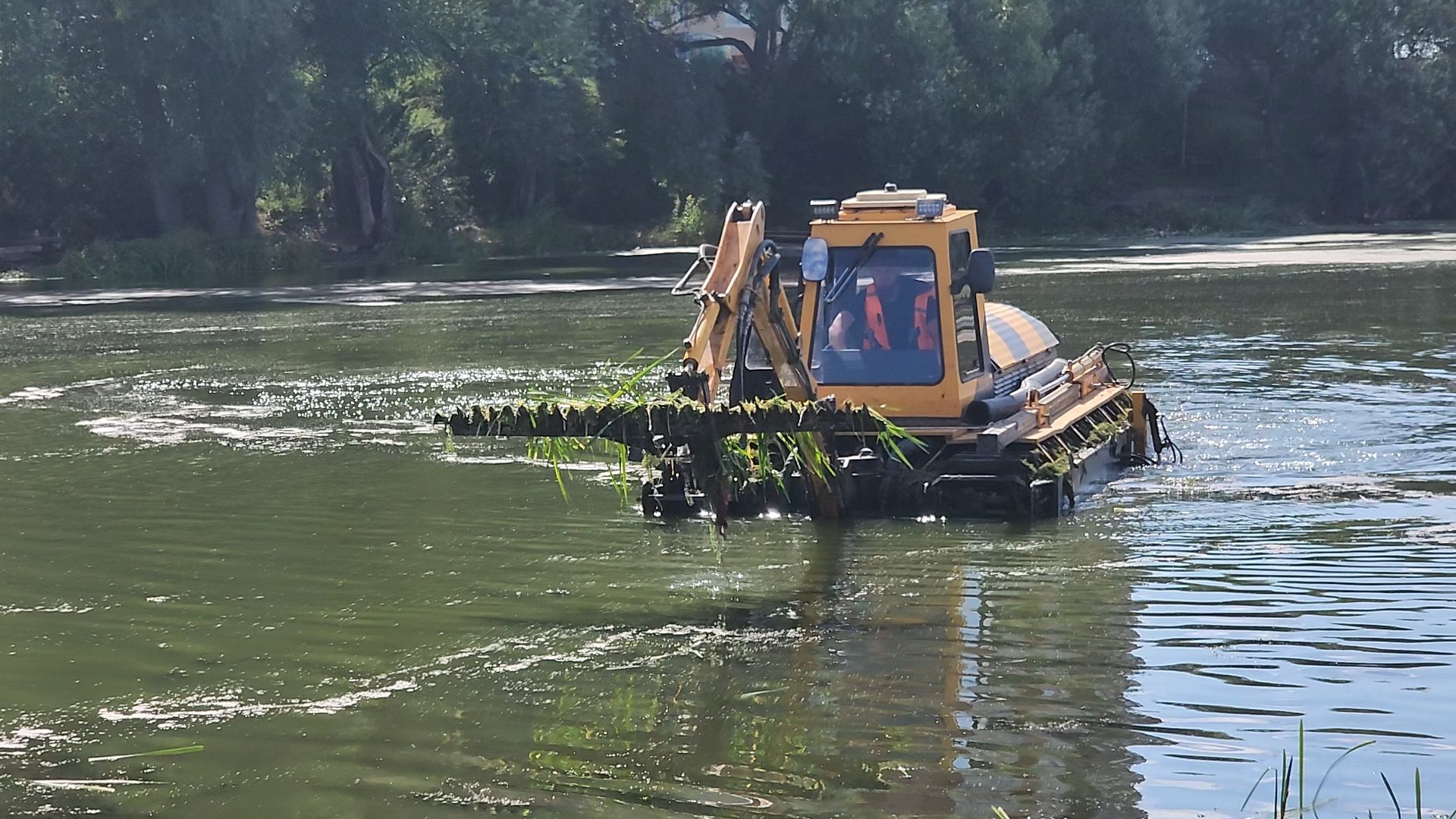 одинцово, юдино, 100 прудов и озер, очистка водоема, экология,
