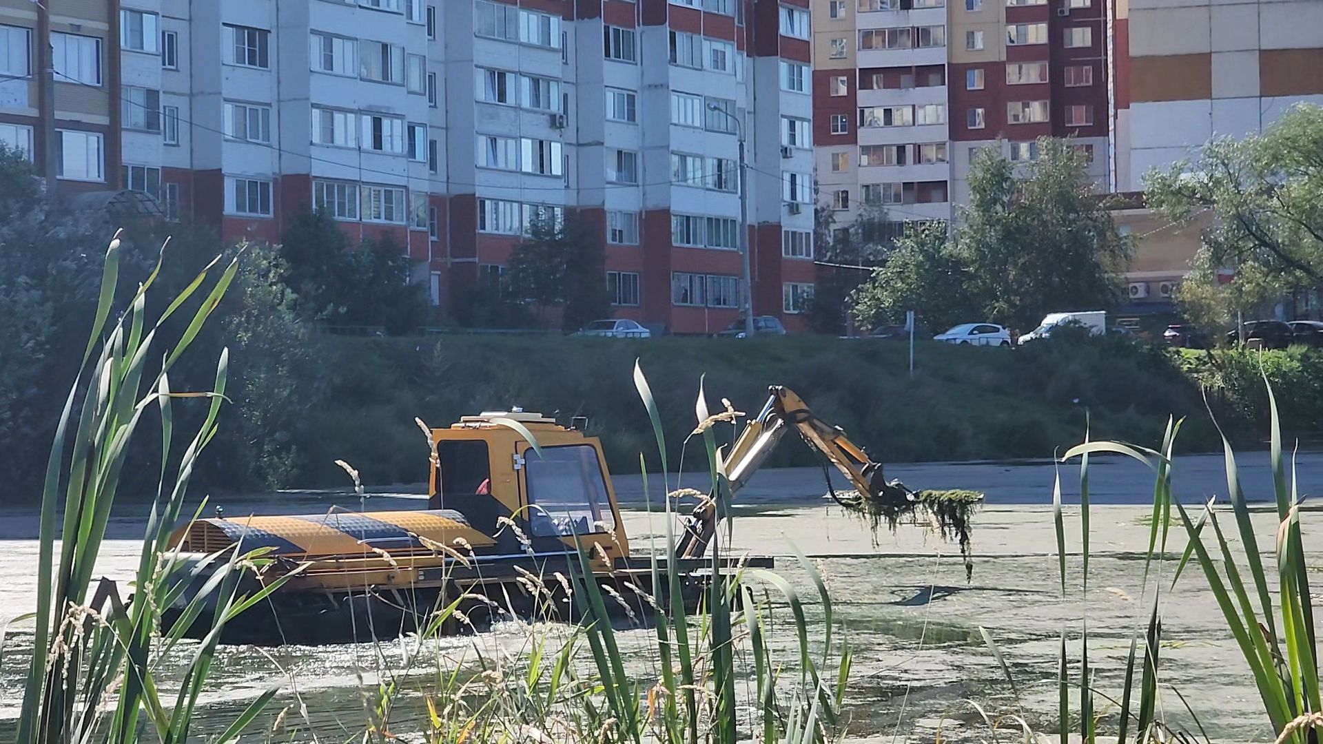 одинцово, юдино, 100 прудов и озер, очистка водоема, экология,