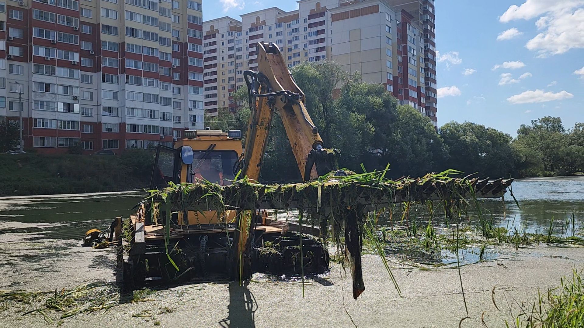 одинцово, юдино, 100 прудов и озер, очистка водоема, экология,