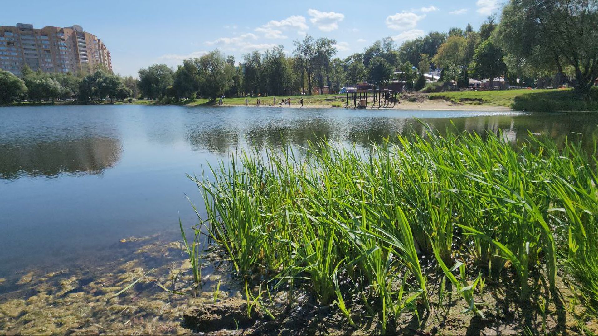 люберцы, наташинские пруды, наташинский парк, жители, уровень воды,
