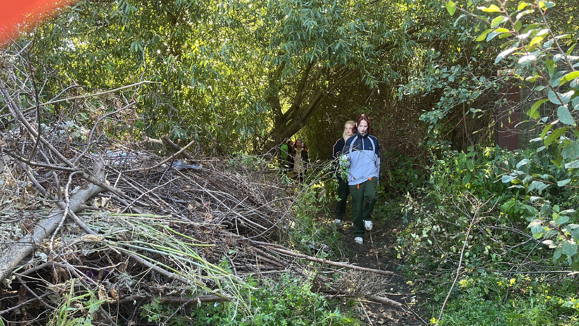 эко, эколагерь, волонтеры,