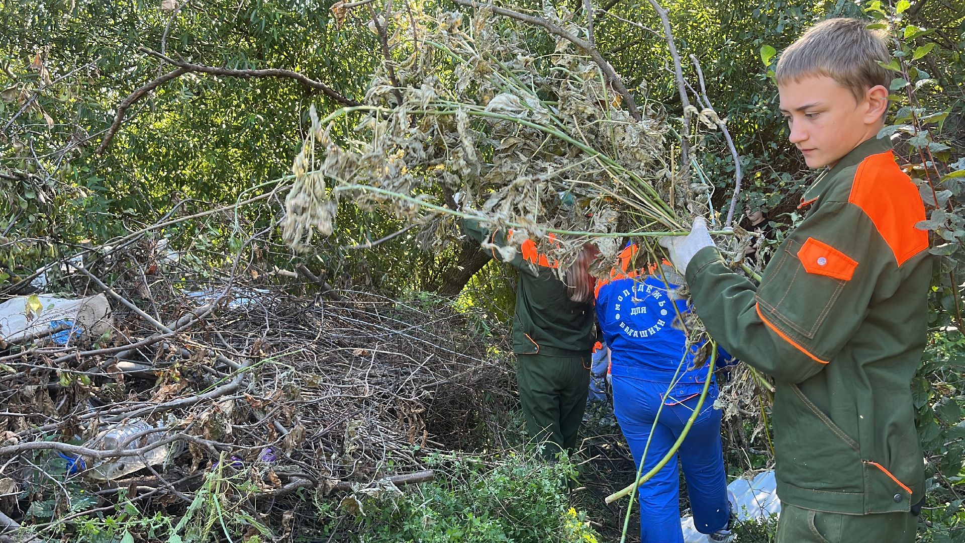 эко, эколагерь, волонтеры,