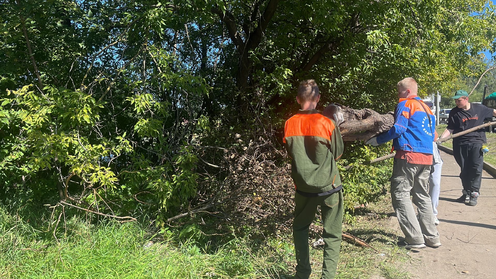 эко, эколагерь, волонтеры,