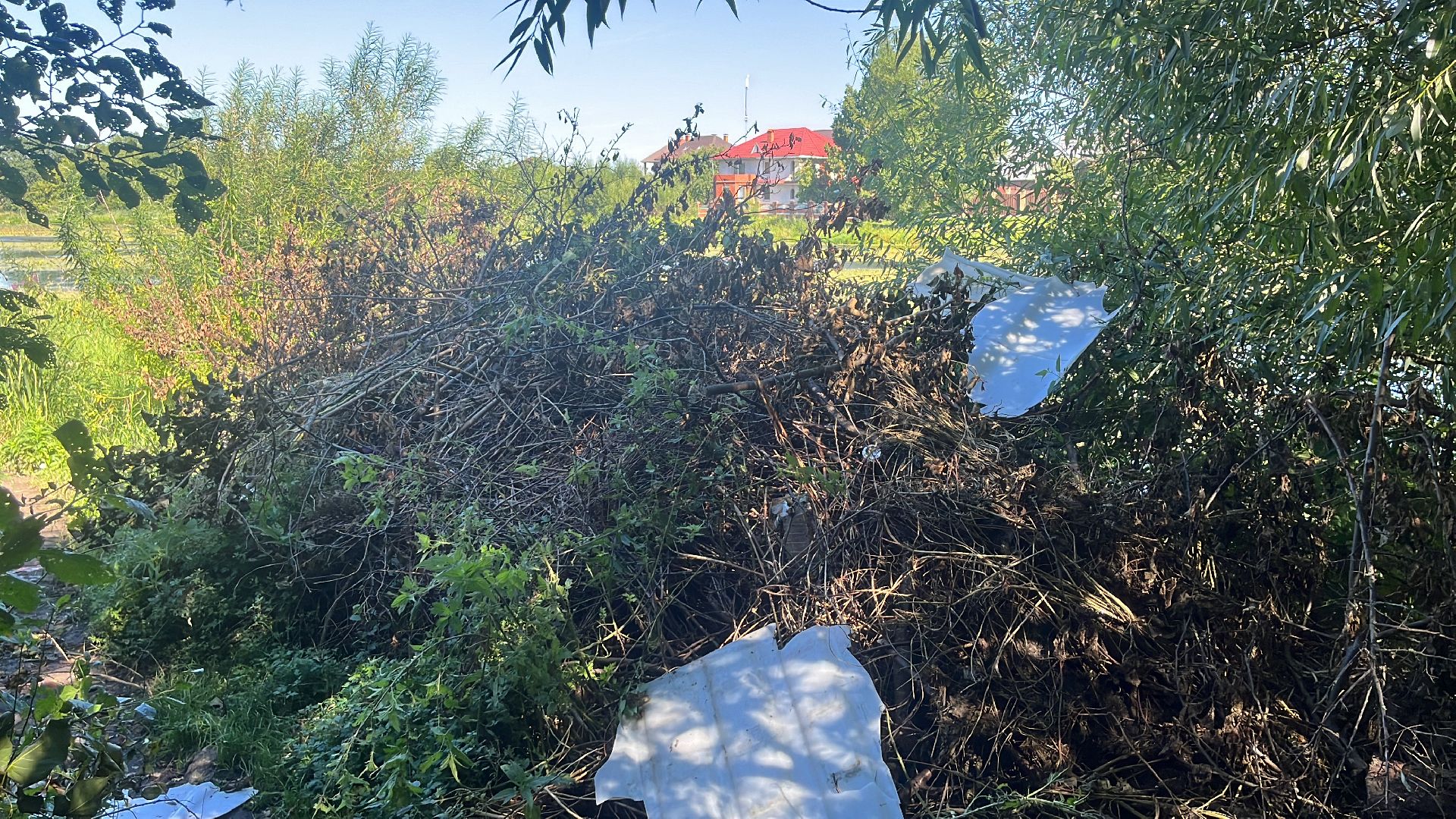 эко, эколагерь, волонтеры,