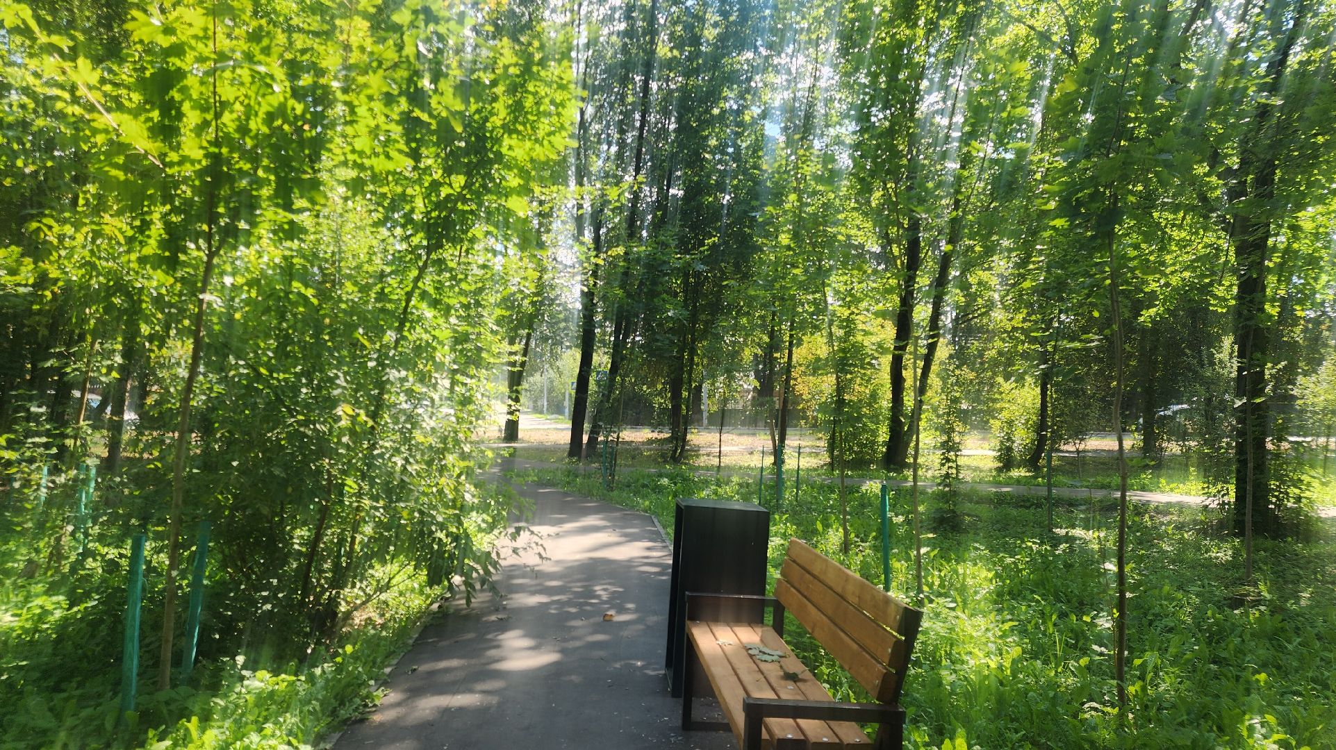 Звенигород, Благоустройство, Дороги,безопасность,