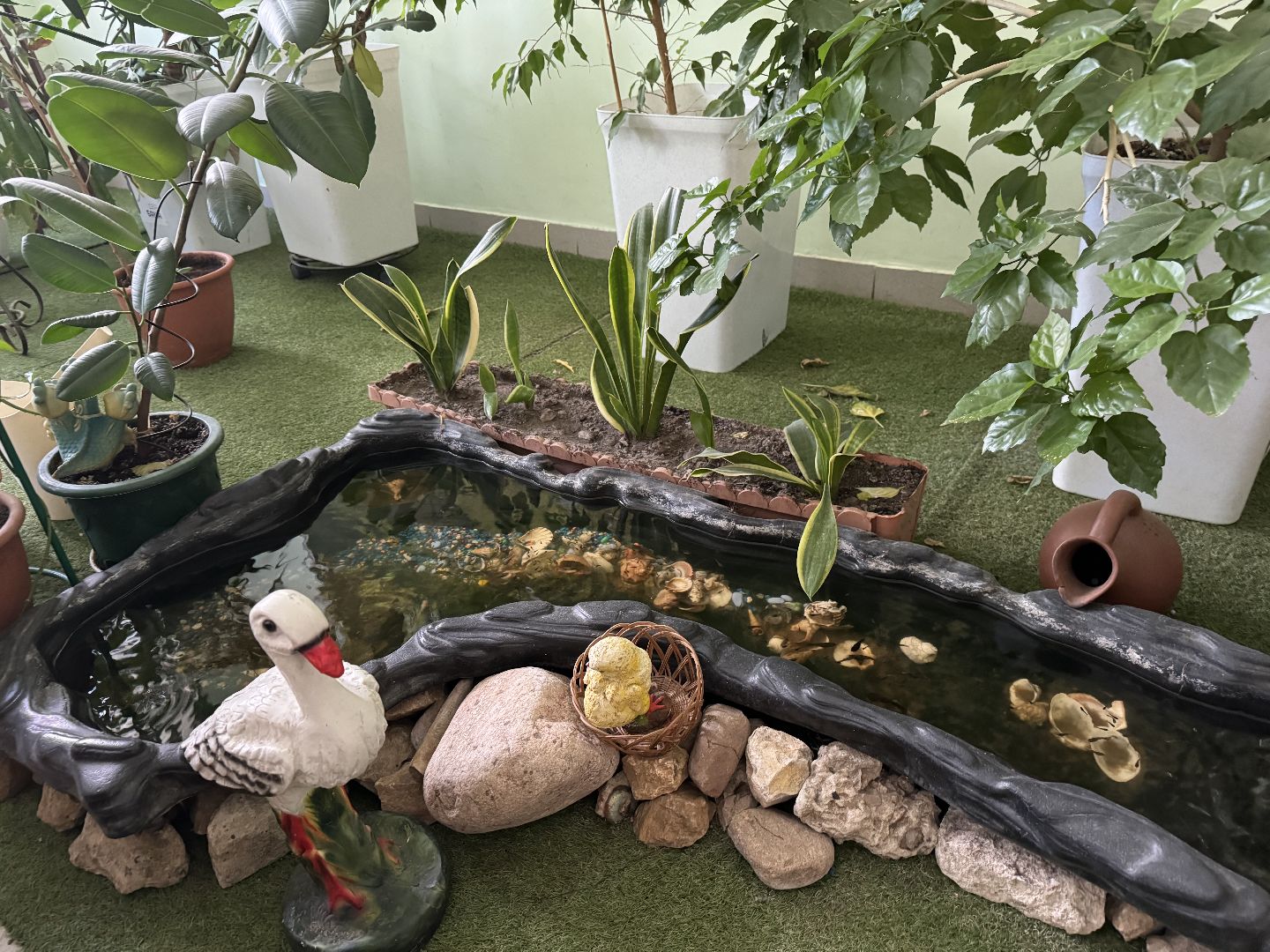 фрязино, 2 школа, учеба, образование,