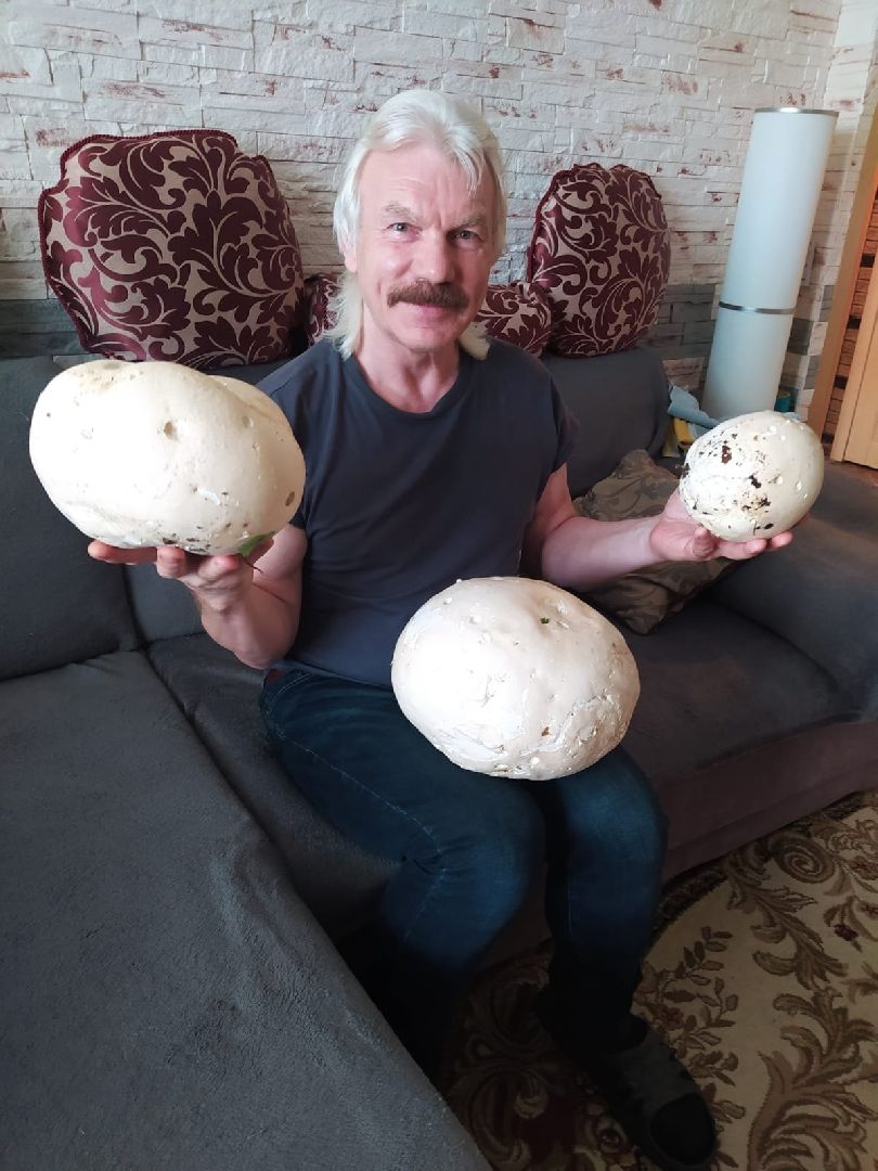 пущино, серпухов, грибы,