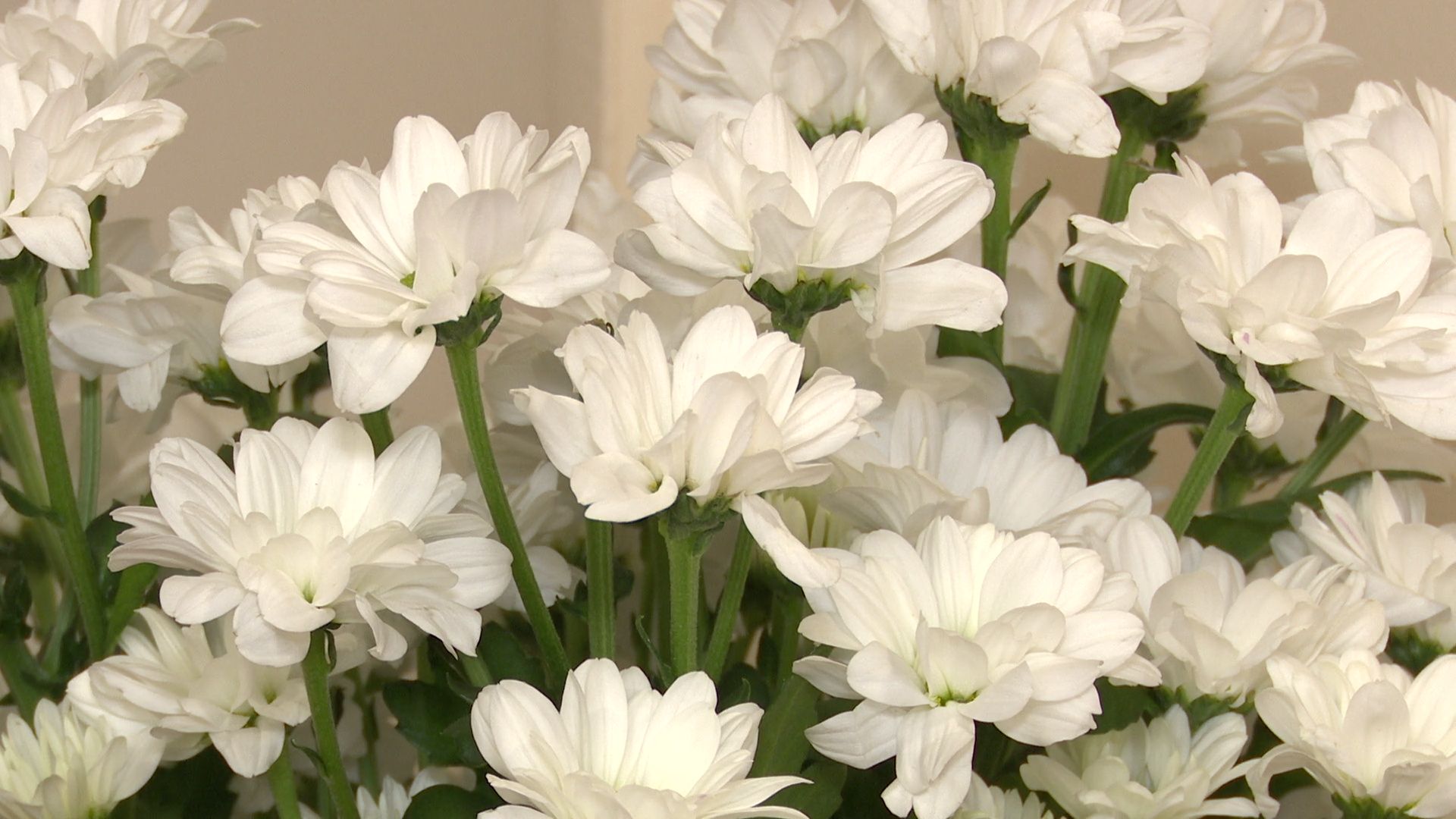 Реутов, ЖКХ, благоустройство, ремонт дома, дизайн-проект,