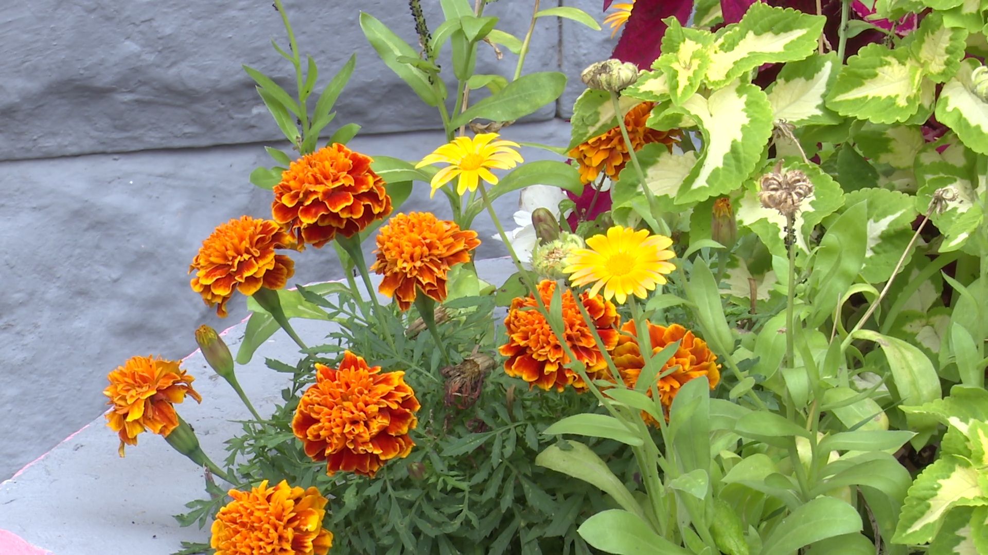 Реутов, ЖКХ, благоустройство, ремонт дома, дизайн-проект,